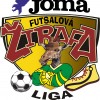 Žilina - dievčatá logo